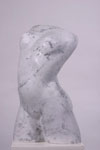 Female Torso (front)